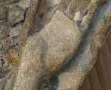 ange nimbé au Musée d’Art et d’Archéologie du Périgord (8)